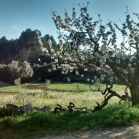 Сasa de vacaciones Casa Rumbet *